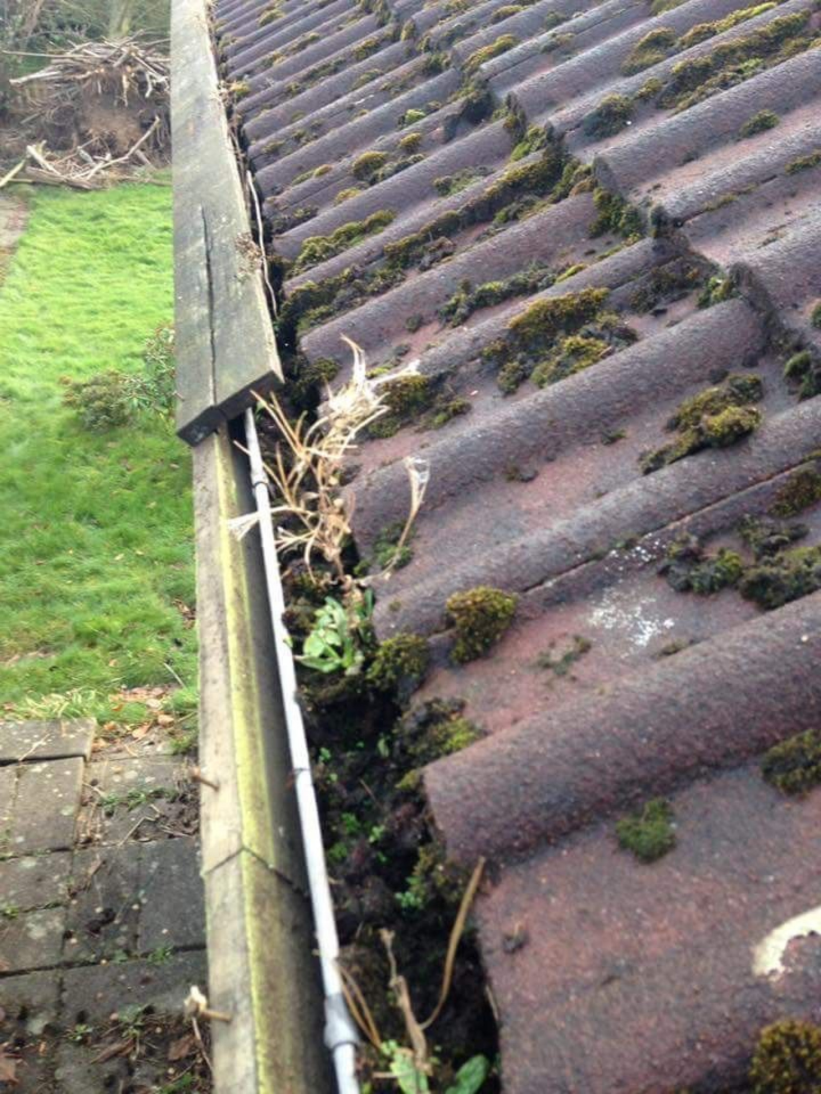 Rens af tagrender - Horsens